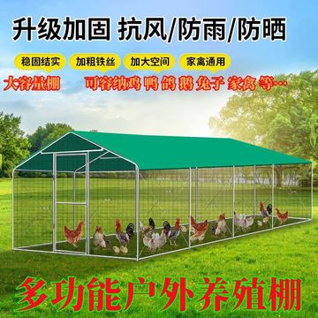 利用简易遮雨棚与鸡笼 构建经济高效的户外养殖及家禽生产体系